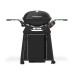 Weber Q2800N + STAND PREMIUM plynový gril