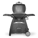 Weber Q 3200 Station černý Black Line